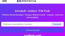 Unduh Video TikTok dengan SSSTIKTOK