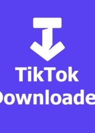 tiktok downloader