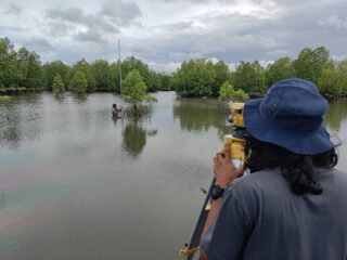 SOLUSI Nyata untuk Pesisir: YKL Indonesia dan Bonebula Luncurkan Rehabilitasi Mangrove di Donggala