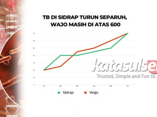 TB di Sidrap Turun Separuh, Wajo Masih di Atas 600