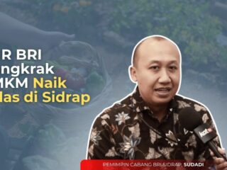KUR BRI Dongkrak UMKM Naik Kelas di Sidrap