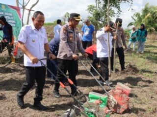 Dukung Ketahanan Pangan, Wakapolres Sidrap Hadiri Penanaman Jagung di Desa Talawe
