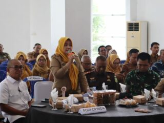Sidrap Ikuti Verifikasi Lanjutan Kabupaten Sehat Tingkat Nasional, Target Predikat Tertinggi