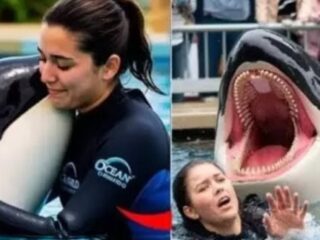 Jessica Radcliffe Ditelan Paus Orca Hoaks