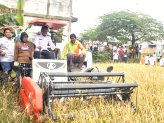 Petani Perempuan di Sidrap Cetak Rp16 Juta dari 70 Are, Bupati Syahruddin: Ini Bukti Pertanian Kita Sedang Maju