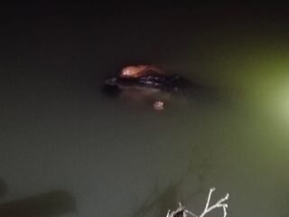 Warga Wajo Tewas Diterkam Buaya di Sungai Bulete, Evakuasi Berlangsung Dramatis