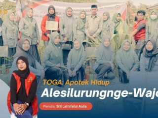 TOGA: Apotek Hidup yang Tumbuh di Kantor Desa Alesilurungnge-Wajo