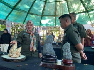 Pameran Bonsai dan Batu Suiseki Nasional Meriahkan HUT ke-80 RI di Sidrap