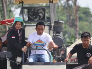 Bupati Sidrap dan Direktur Alsintan Panen Raya di Panca Lautang