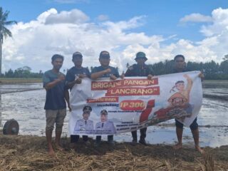 Babinsa Mendampingi, Petani Sidrap Menanam, Wakil Rakyat Meyakinkan