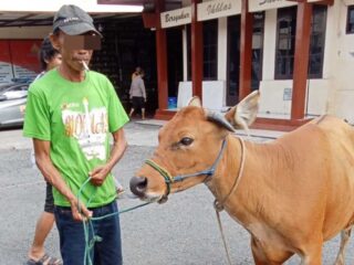 Sapi Raib Saat Pemiliknya Masuk Masjid, Polisi Tangkap Pelaku di Bone