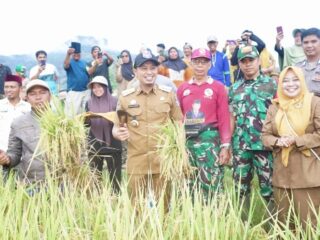 Pemkab Enrekang Siapkan MoU dengan Jasindo, Lindungi Petani dari Risiko Gagal Panen
