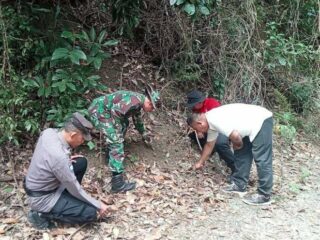 Babinsa Koramil 1420-05/Dua Pitue dan Kementerian Kehutanan Bersinergi, Patroli Ketat Batas Hutan Lindung di Sidrap