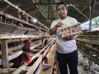 Bupati Sidrap Dorong Petani dan Peternak Transaksi Digital Pakai QRIS