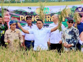 Sidrap Jadi Rujukan Pertanian dan Transmigrasi, Siap Terima Kunjungan Pemkab Demak