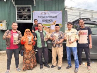 Kopi Arabika Enrekang Tembus Pasar Korea Selatan, Ekspor Perdana Capai Satu Ton