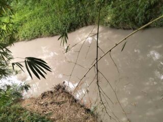 Usai Picu Hujan Abu, Limbah PT Indocement Kini Diduga Cemari Sungai Cijere Bogor