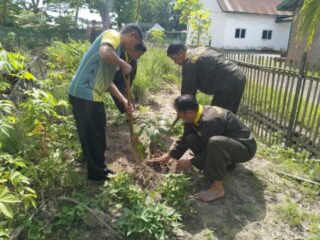 ​Bati Bhakti Siter Kodim 1420/Sidrap Pimpin Aksi Penanaman Pohon, Hijaukan Lingkungan Asrama