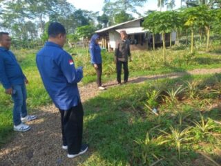 Penyidikan Kasus Bibit Nanas Rp60 Miliar Kian Intensif, Tim Penyidik Kejati Sulsel Periksa Saksi Penyedia di Subang dan Temukan Fakta Pre-Order Kontrak