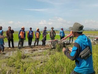 Babinsa dan PPL Dampingi Kelompok Tani Ingerrang Olah Lahan Sawah di Kanyuara