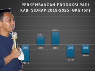 Syaharuddin Membalikkan Wajah Pertanian Sidrap, Grafiknya Menukik Tajam ke Atas