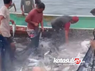 Viral Pukat Lasolo: Di Konawe Utara, Laut Masih Mengajarkan Cara Bersyukur