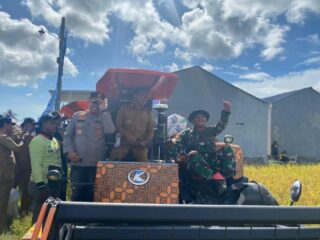 Dandim 1420/Sidrap Mengikuti Kegiatan Panen Raya Program IP 300 di Kel. Majjelling Wattang