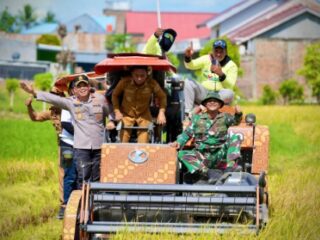 Dukung Swasembada Pangan, Kapolres Sidrap Hadiri Panen Raya IP 300