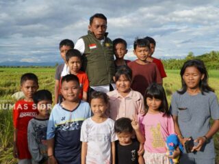 Bupati Sidrap Panen IP 300 di Majjelling, Produktivitas Capai 8 Ton per Hektare