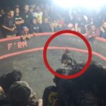 Gambar berita Katasulsel