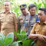 Gambar berita Katasulsel