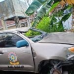 Gambar berita Katasulsel