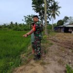 Gambar berita Katasulsel