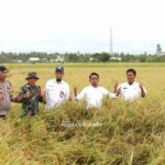 Gambar berita Katasulsel