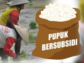 Bisnis Gelap Pupuk Bersubsidi di Sidrap Masih Membekas di Hati Petani hingga 2026