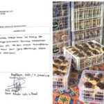 Gambar berita Katasulsel