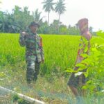 Gambar berita Katasulsel