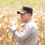 Gambar berita Katasulsel