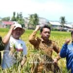 Gambar berita Katasulsel