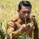 Gambar berita Katasulsel