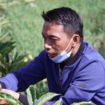 Gambar berita Katasulsel