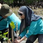 Gambar berita Katasulsel