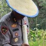 Gambar berita Katasulsel