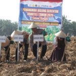 Gambar berita Katasulsel