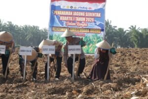 Kapolres Sergai Tanam Jagung di Lahan 2 Hektar sebagai Bentuk Dukungan Terhadap Swasembada Jagung 2026