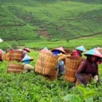 Gambar berita Katasulsel