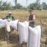 Gambar berita Katasulsel