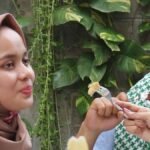 Gambar berita Katasulsel