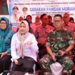 Gambar berita Katasulsel