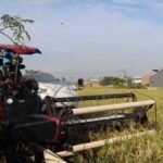 Gambar berita Katasulsel